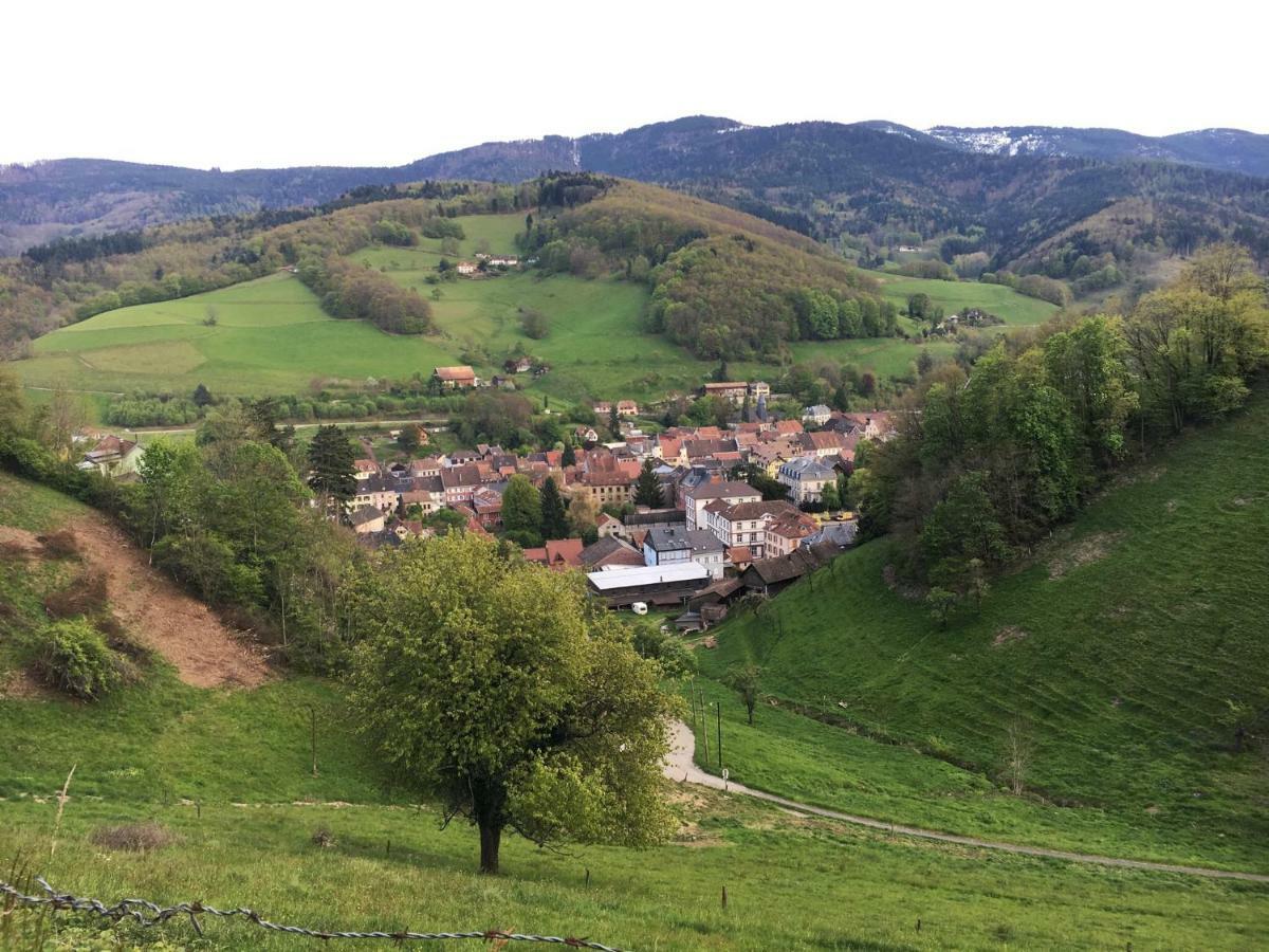 La Cle D'alsace Apartment Sainte-Marie-aux-Mines